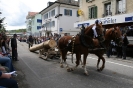2006 - 100 Jahre Pferdezuchtgenossenschaft / Kavallerie Verein SchÃ¼pfheim :: zeq_18